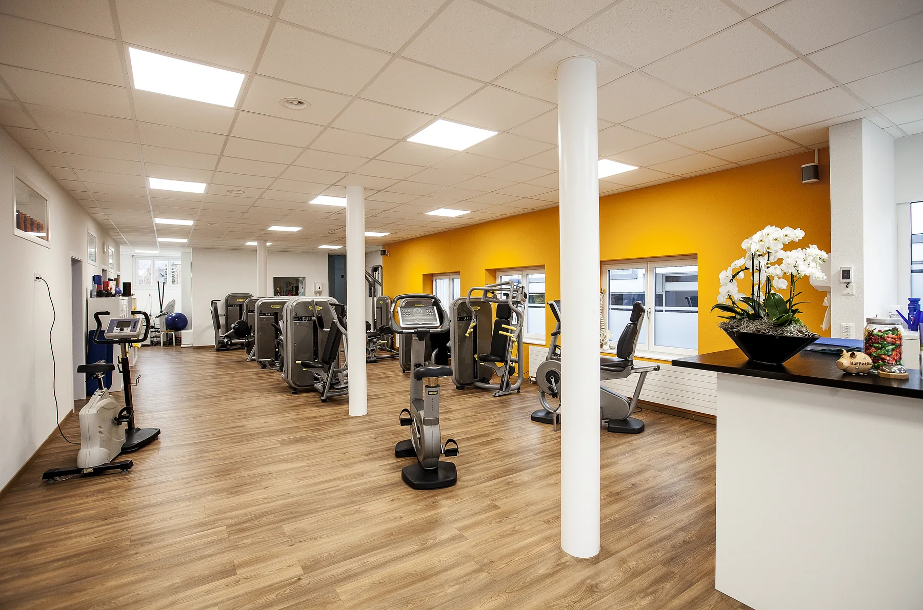 Panorama der Praxis und Trainingsgeräte